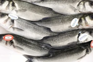 Vigilância Sanitária orienta sobre compra de pescado na Semana Santa