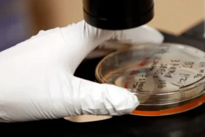 A bactéria que pode causar milhões de casos de câncer