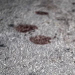 Adolescente de 17 anos é morta a tiros após recusar investidas de homem no interior do CE