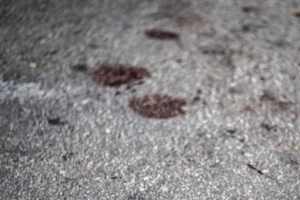 Adolescente de 17 anos é morta a tiros após recusar investidas de homem no interior do CE