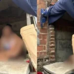 Adolescente é achada morando em casinha do cachorro; namorado é preso