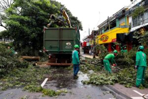 Após suspensão, Prefeitura de Maringá reabre edital de R$ 80 milhões para podas e remoções de árvores