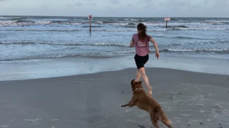 Astronauta mostra reencontro com cadela após viagem de 10 dias até à Lua