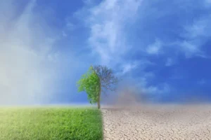 Avançam projeções de El Niño mais forte neste ano