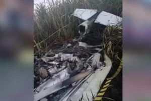 Avião monomotor cai no interior de SP e piloto morre carbonizado