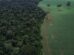 Brasil reduz em 42% perdas florestais em 2025, aponta estudo
