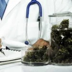 Canabidiol mostra potencial para reverter danos do Alzheimer em estudo experimental