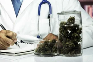 Canabidiol mostra potencial para reverter danos do Alzheimer em estudo experimental