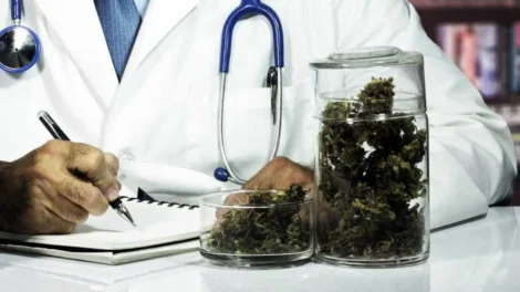 Canabidiol mostra potencial para reverter danos do Alzheimer em estudo experimental