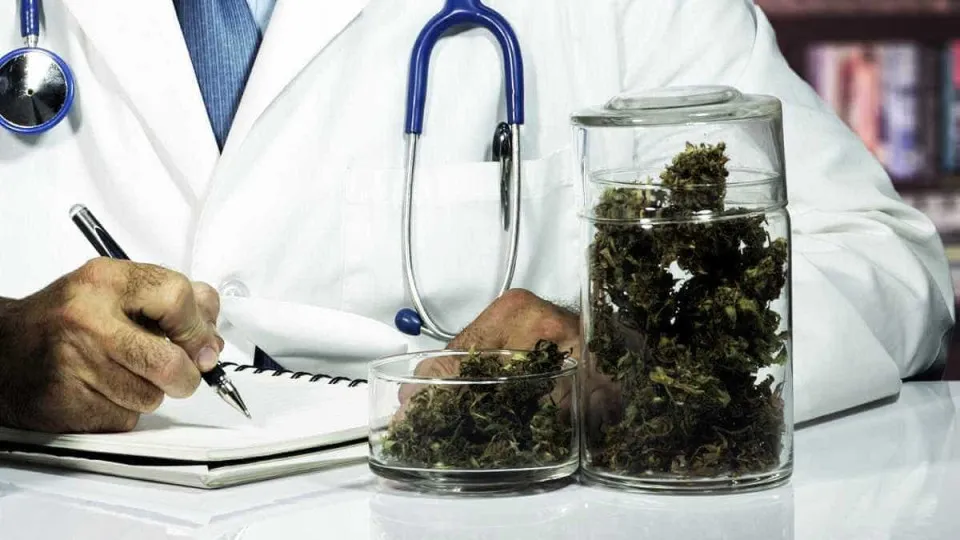 Canabidiol mostra potencial para reverter danos do Alzheimer em estudo experimental