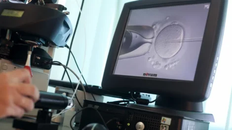 Casal branco processa clínica por erro após bebê in vitro nascer asiática