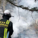 Centenas de bombeiros combatem incêndios florestais no norte do Japão