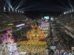 Desfiles de carnaval no Rio terão maior número de escolas de samba