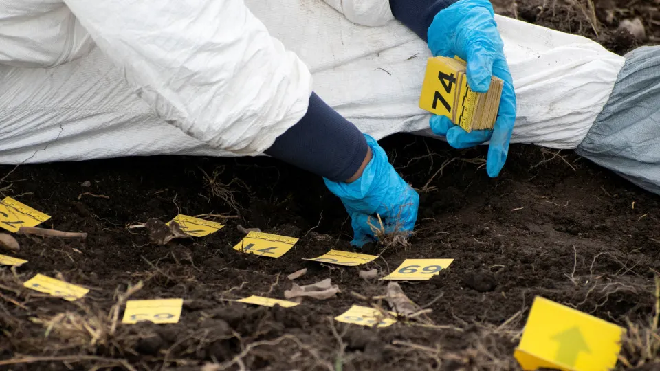 Encontrados mil fragmentos de ossos na Cidade do México: "Devastador"