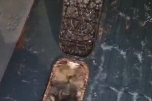 Furtos de hidrômetros preocupam moradores de Sarandi