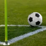 Goiás e Avaí defendem a liderança pela Série B do Brasileirão