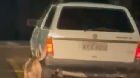 Homem é preso após arrastar cachorro até a morte em Mandaguari