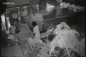 Idosa é espancada por hóspede embriagada em pousada do DF