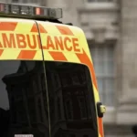 Motorista atropela multidão em festival budista nos EUA e deixa 15 feridos