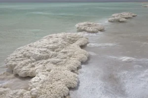 O Mar Morto está despertando: o que isso significa para o mundo?