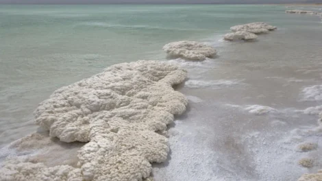 O Mar Morto está despertando: o que isso significa para o mundo?