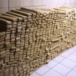 PM apreende 48 toneladas de maconha em bunker no Complexo da Maré, no Rio