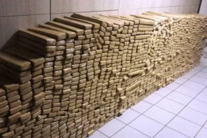 PM apreende 48 toneladas de maconha em bunker no Complexo da Maré, no Rio