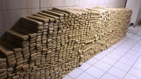 PM apreende 48 toneladas de maconha em bunker no Complexo da Maré, no Rio