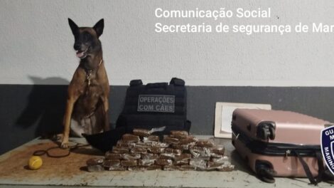 Passageira abandona mala com 4 kg de drogas em ônibus na rodoviária de Maringá