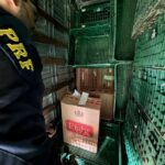 Polícia apreende 350 mil maços de cigarros do Paraguai escondidos em caminhão na região de Maringá