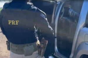 Polícia apreende quase meia tonelada de maconha 'gourmet' em Maringá