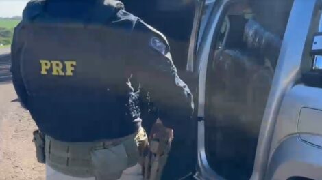 Polícia apreende quase meia tonelada de maconha 'gourmet' em Maringá