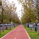 Prefeitura de Maringá realiza caminhada e piquenique em ação