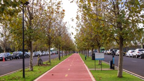 Prefeitura de Maringá realiza caminhada e piquenique em ação