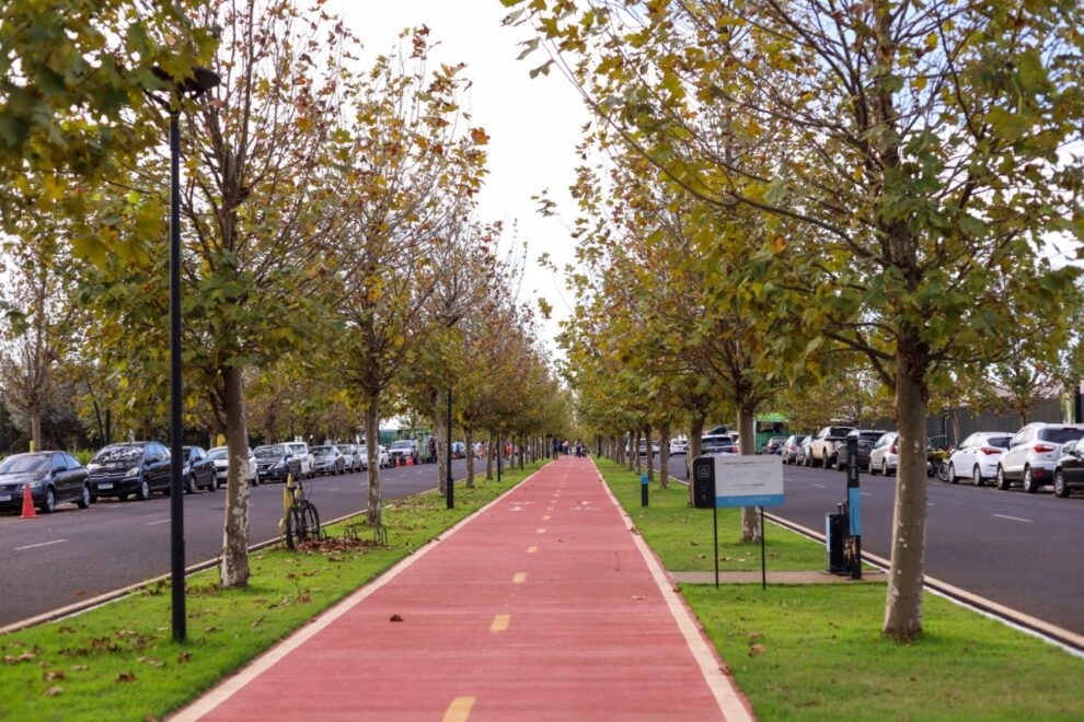 Prefeitura de Maringá realiza caminhada e piquenique em ação