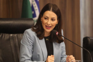 Projeto de lei propõe criação de semana estadual de enfrentamento à violência contra a mulher na internet