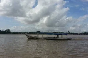 Quatro são presos com carga de grude de peixe avaliada em R$ 1 mi no Amapá