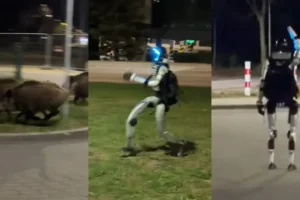 Robô persegue javalis à noite e vídeo viraliza nas redes; veja