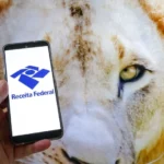 Saiba como vai funcionar o cashback da restituição automática do IR