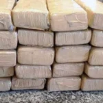 Sri Lanka prende 22 monges com 110 kg de maconha em aeroporto