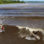 Surfistas pegam onda na pororoca no Pará