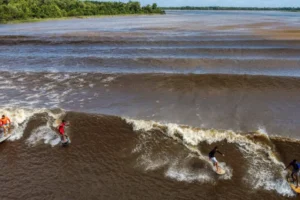 Surfistas pegam onda na pororoca no Pará