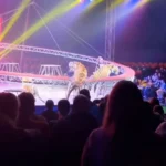 Tigre invade plateia após queda de proteção em circo na Rússia; veja