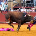 Toureiro famoso na Espanha é gravemente ferido por touro em Sevilha; veja