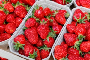 Truque simples faz morangos durarem muito mais na geladeira