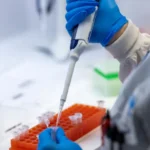 Variante BA.3.2 da Covid oferece baixo risco, mas vigilância deve continuar, dizem especialistas