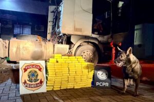 Ação policial apreende mais de 100 quilos de cocaína em Paiçandu; motorista foi preso em flagrante