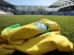 Atacantes em alta, goleiros em baixa: como chega a seleção brasileira para a Copa do Mundo