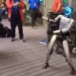 Dança, tira selfies e atrasa voo nos EUA: Conheça Bebop, o robô que viaja