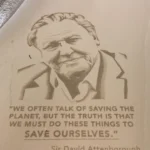 David Attenborough chega aos 100 anos com saga sobre um gorila